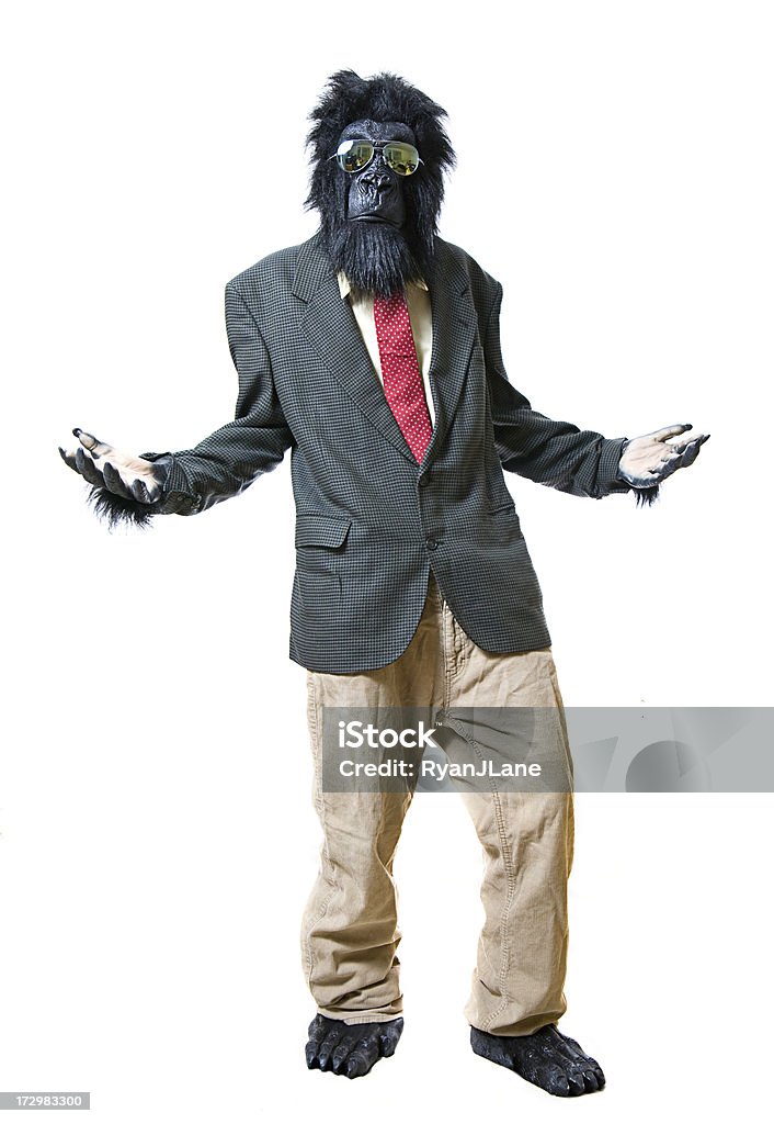 In piedi di affari Gorilla porre una domanda - Foto stock royalty-free di Abbigliamento elegante