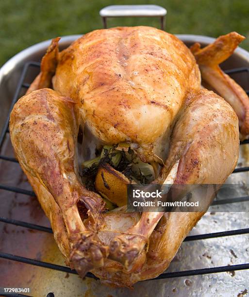 Baking Pan Gebratener Truthahn Thanksgiving Weihnachtszeit Essen Hintergrund Stockfoto und mehr Bilder von Freilandhuhn