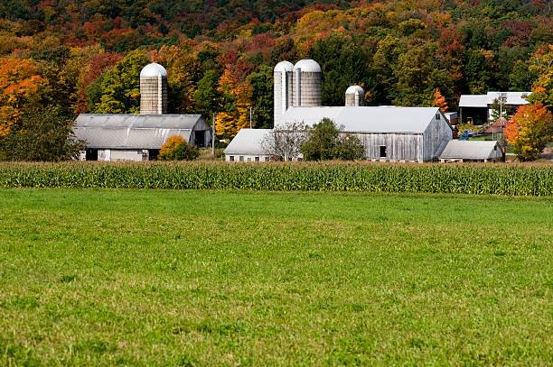 istock Autumn Farm Scenic 172983888