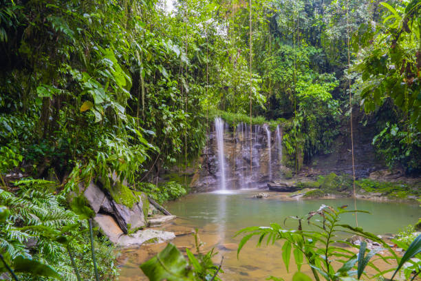 istock Beautiful waterfall in the jungle, virgin jungle 1729842407