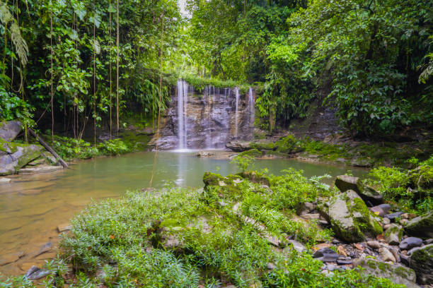 istock Beautiful waterfall in the jungle, virgin jungle 1729844093