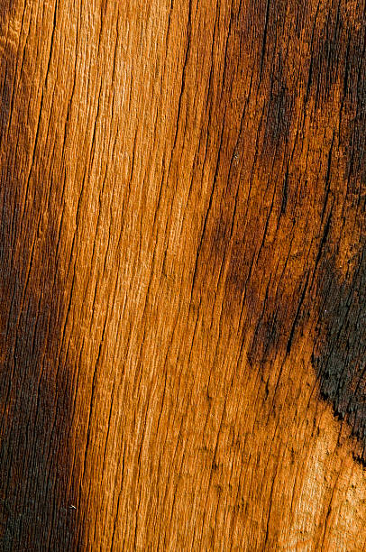 Burned Wood stock photo