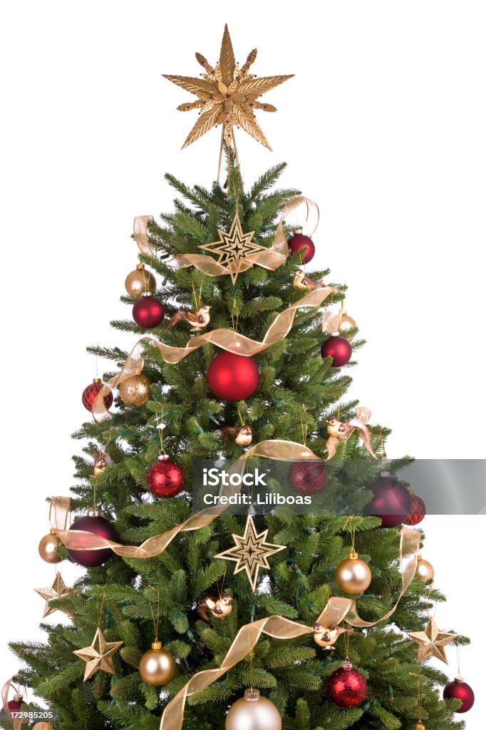 Árvore de Natal (XXL - Royalty-free Árvore de Natal Foto de stock