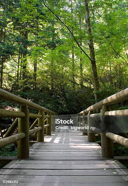 Wooden Bridge In A Park Stock Photo - Download Image Now - Bridge - Built Structure, Canada, Curve