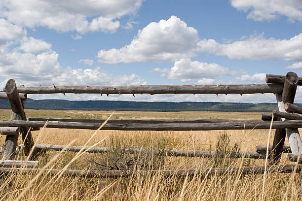 istock Rural Jack Leg Fence with Puffy White Cloud Sky 172985318