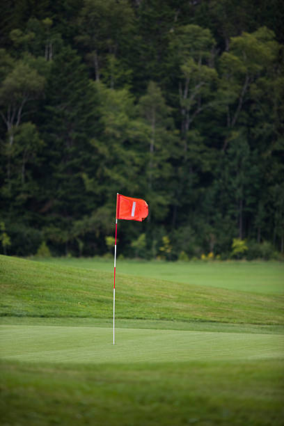 istock red golf pin on the green 172985972