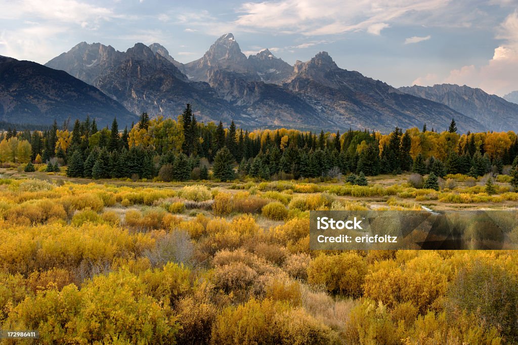 Outono no Tetons - Foto de stock de Beleza natural - Natureza royalty-free