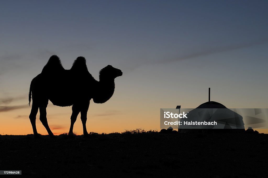 Zachód słońca w pustyni Gobi - Zbiór zdjęć royalty-free (Mongolia)