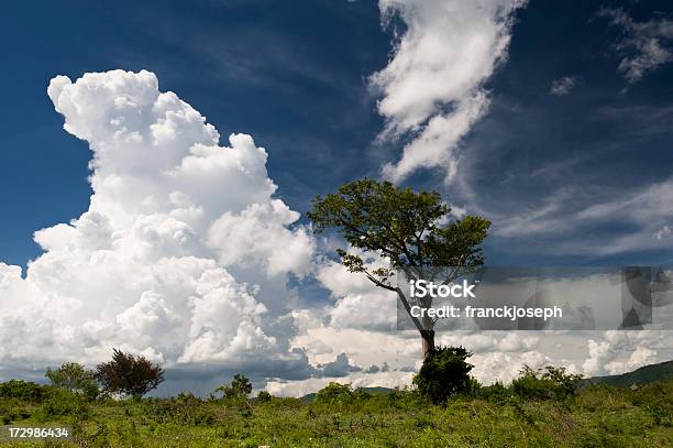 Foto de Nuvem Cloud e mais fotos de stock de Cloudscape - Cloudscape, Céu - Fenômeno natural, Fotografia - Imagem