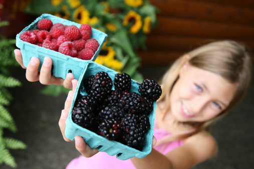 A fun day at the farmers market.  Cute girl holds up some pretty berries.  Note:  This shot can be used as either a horizontal or vertical!