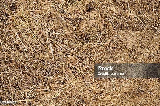 Foto de Fundo De Palha e mais fotos de stock de Cena Rural - Cena Rural, Conceito, Feno