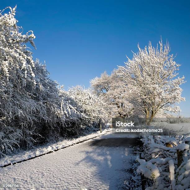 Foto de Neve e mais fotos de stock de Ajardinado - Ajardinado, Beleza natural - Natureza, Cena Não-urbana