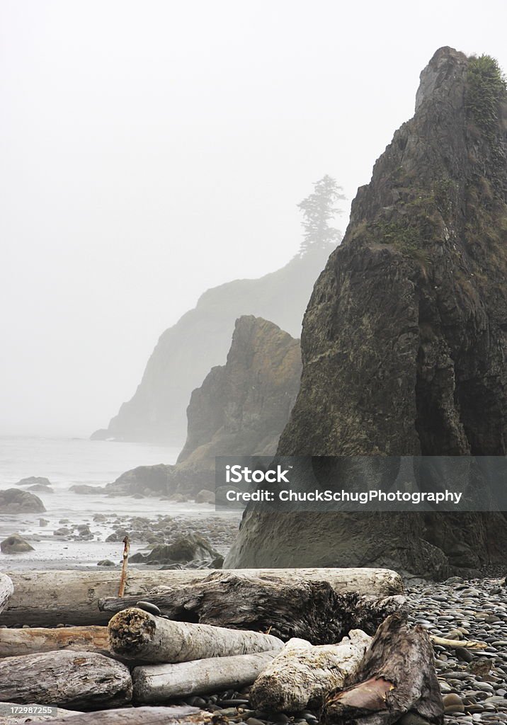 Toras de madeira de nevoeiro Ruby Beach mar pilha - Foto de stock de Noroeste dos Estados Unidos royalty-free