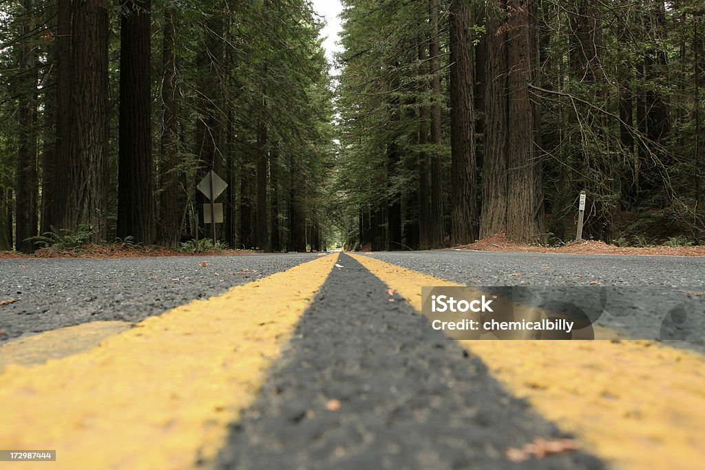 Estrada de Redwood - Foto de stock de Amarelo royalty-free