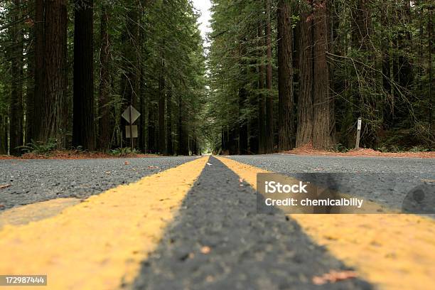 Foto de Estrada De Redwood e mais fotos de stock de Amarelo - Amarelo, Autoestrada, Califórnia