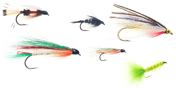 istock Fly Fishing lures on White 172987463