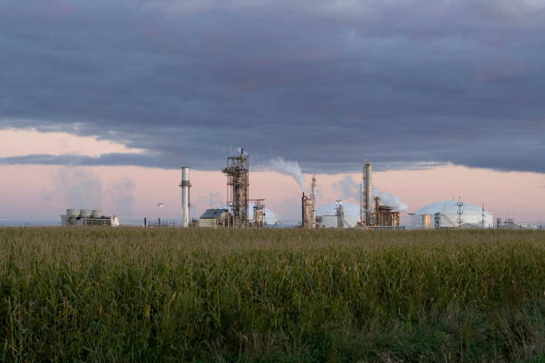 Twilight Farm Chemical Factory in NW Iowa "Storm clouds hanging over a cornfield and a nitrogen fertilizer factory, dramatic skyline. Lots of sharp detail if you zoom in, could be cropped for panoramic view." plant fertilizer stock pictures, royalty-free photos & images