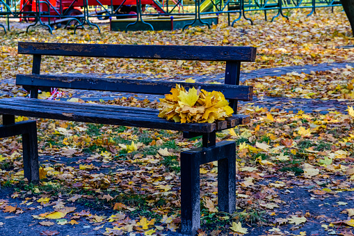 Heap of yellow maple leaves on bench. Autumn concept