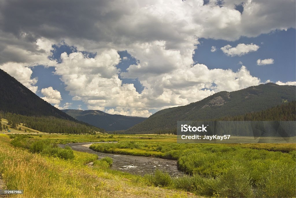 Paisagem de Wyoming - Foto de stock de As Américas royalty-free