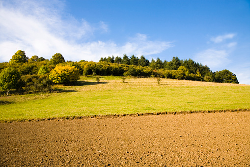 A landscape of a dirt road next to a field