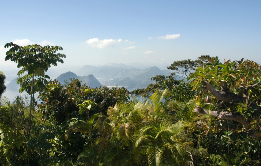 Coastal landscape shot from Sugar Loaf Mountain, Rio de Janeiro, Brazil