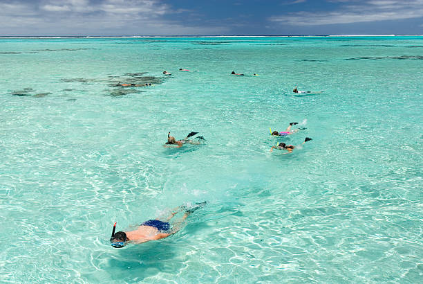 istock Snorkeling in the South Pacific 172988939