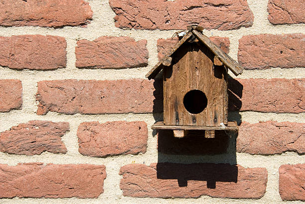 casita de pájaros - birdhouse house bird house rental fotografías e imágenes de stock