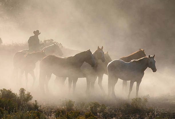 istock Cowboys and wranglers series 3 172989944