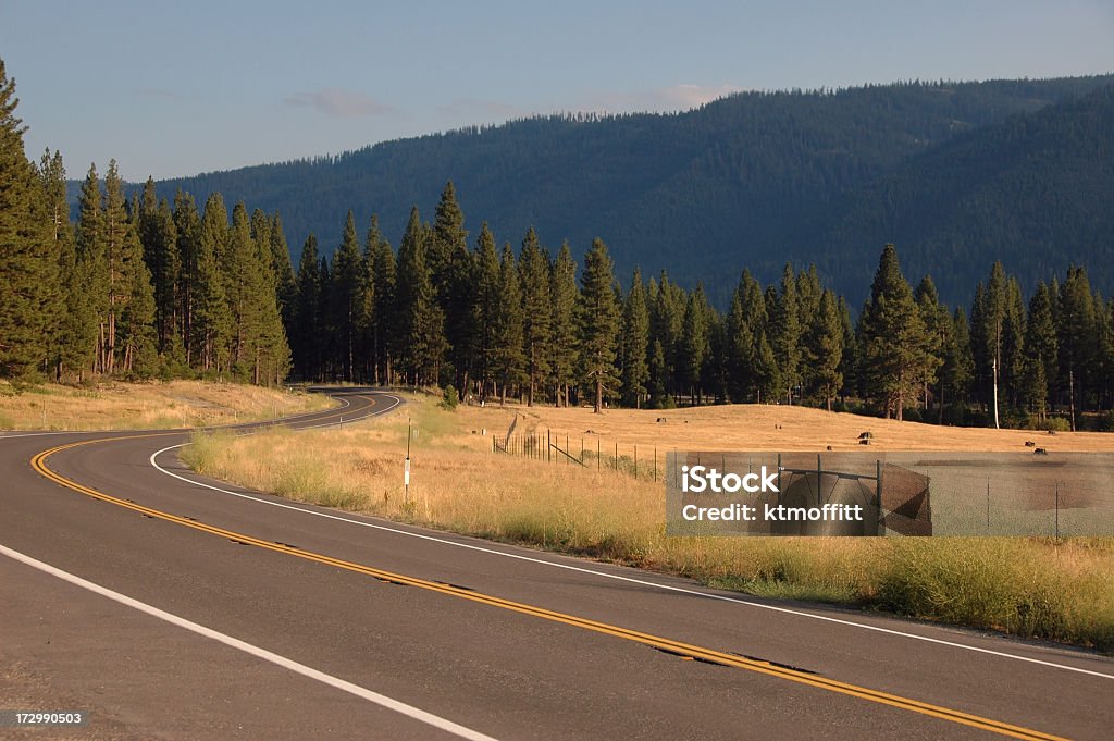 Lonely Road - Foto de stock de Azul royalty-free