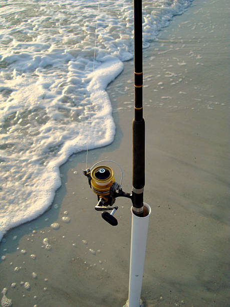 istock Beach Surf Fishing Florida 172990728