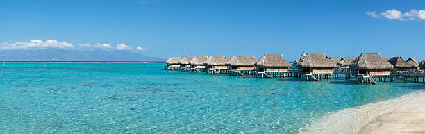 Tropical Dream (XXL) stock photo