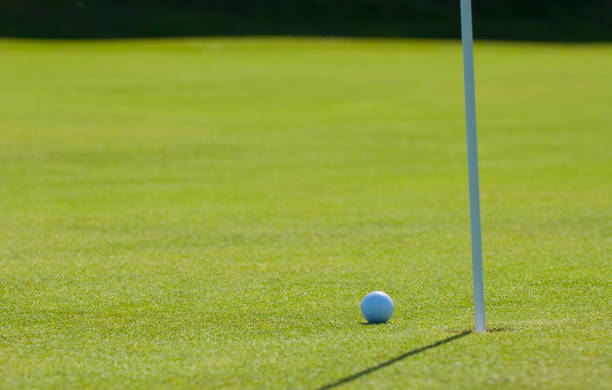 istock Golf ball close to hole 172991226