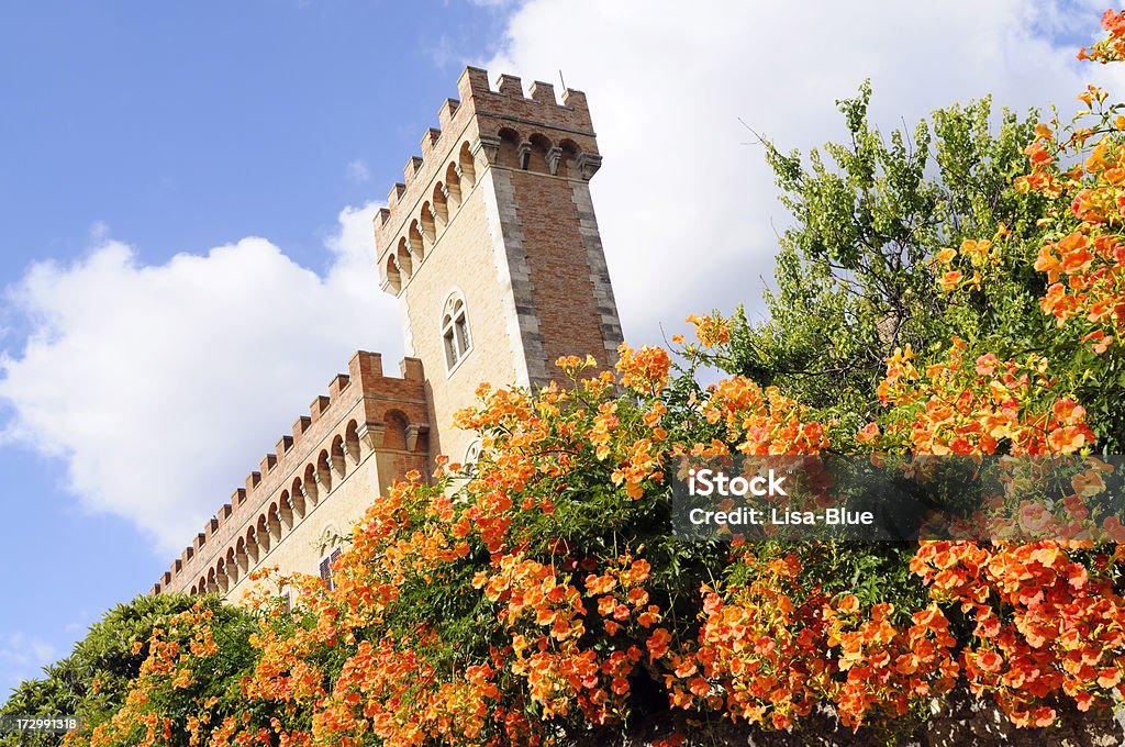 Tuscan Castelo com flores - Royalty-free Castelo Foto de stock