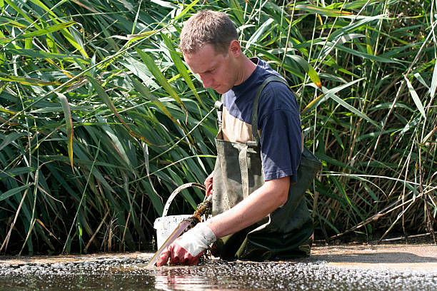 Taking water and mud samples If you want more related images with environmental research click here. ecologist stock pictures, royalty-free photos & images