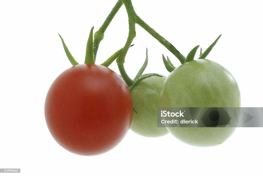 3 체리 토마토 바인 - 로열티 프리 0명 스톡 사진
