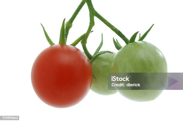 3 체리 토마토 바인 0명에 대한 스톡 사진 및 기타 이미지 - 0명, 3가지 개체, 건강한 식생활