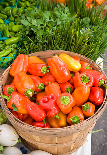 Red bell peppers stock photo