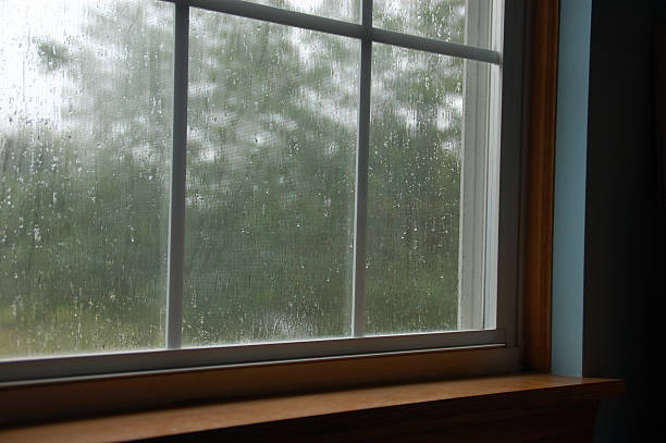 chuvoso janela de - window sill imagens e fotografias de stock