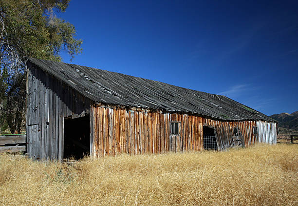 istock Old barns of America 172992902