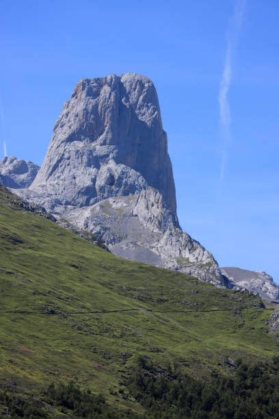 istock Orange tree of Bulnes 172992907
