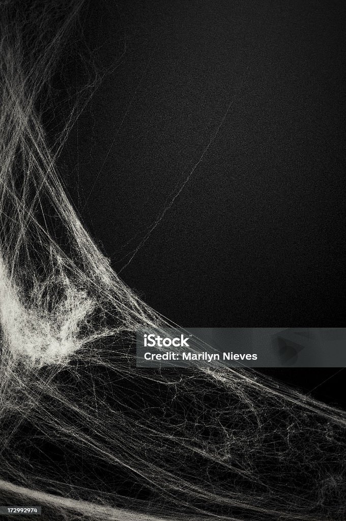 old school messageboard Cobbwebs on a blackboard Spider Web Stock Photo