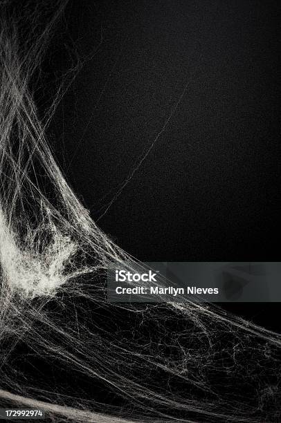 Old School Messageboard Stock Photo - Download Image Now - Spider Web, Textured, Dirty