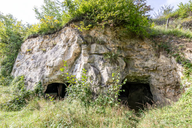 istock Rock formation with cave entrances surrounded by lush wild vegetation 1729932046