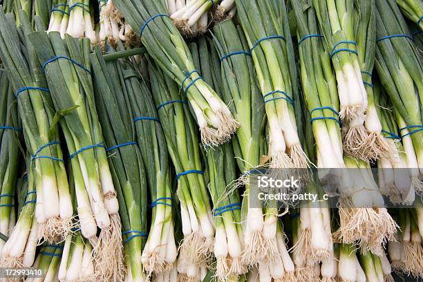 Cebollas Verde Foto de stock y más banco de imágenes de Alimento - Alimento, Cebolla, Cebolla de primavera