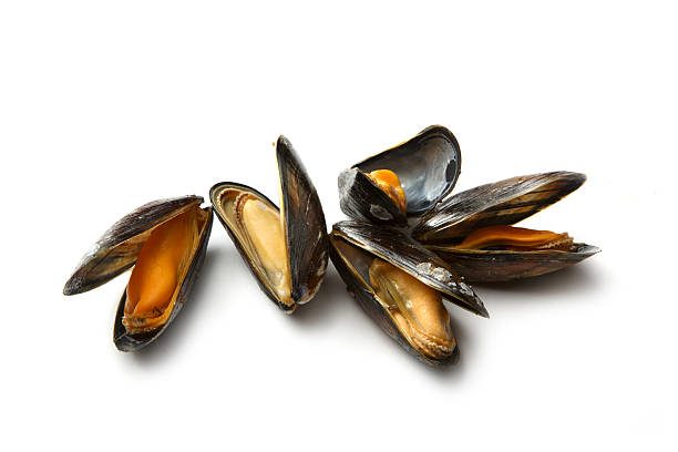 Seafood: Mussels More Photos like this here... mussel stock pictures, royalty-free photos & images