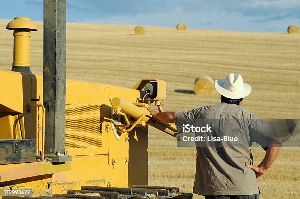 Farmer Looking At Campo Después De Recolección Foto de stock y más banco de imágenes de Adulto - Adulto, Adulto maduro, Agricultor