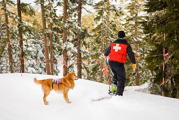 Working the ropes Ski patroller and rescue dog setting up ropes ski patrol photos stock pictures, royalty-free photos & images