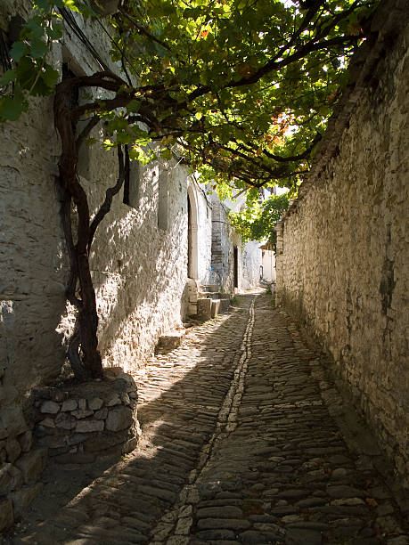 vine roof The lane has a roof of vine in traditional well-preserved Ottoman citadel in Berat, Albania. vinegar stock pictures, royalty-free photos & images