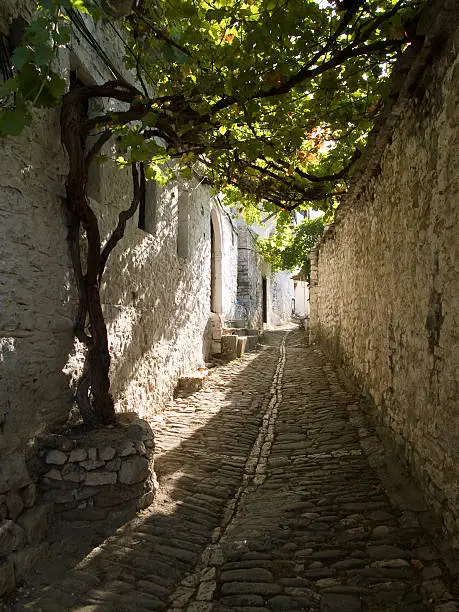 The lane has a roof of vine in traditional well-preserved Ottoman citadel in Berat, Albania.