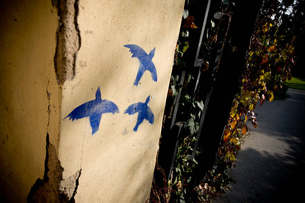 peaceful birds on a garden gate